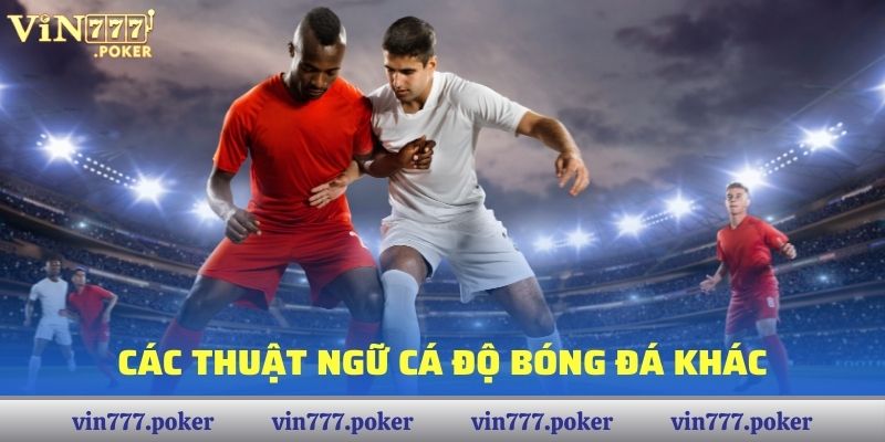 Các thuật ngữ cá độ bóng đá khác