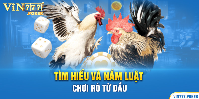 Tìm hiểu và nắm luật chơi rõ từ đầu