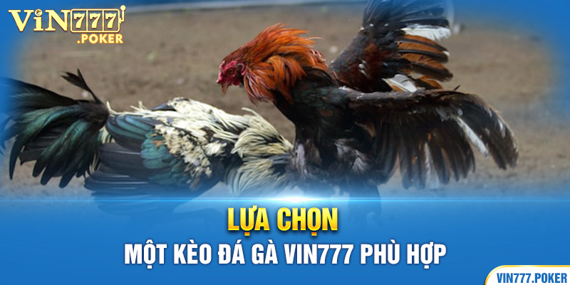 Lựa chọn một kèo Đá Gà Vin777 phù hợp