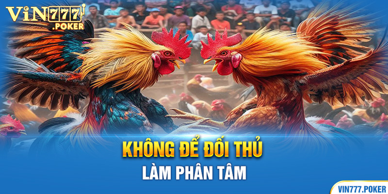 Không để đối thủ làm phân tâm