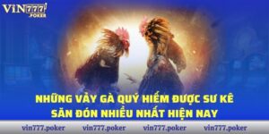 Những Vảy Gà Quý Hiếm