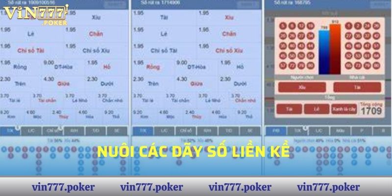 Nuôi các dãy số liền kề