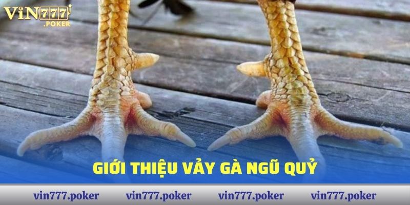 Giới thiệu Vảy Gà Ngũ Quỷ