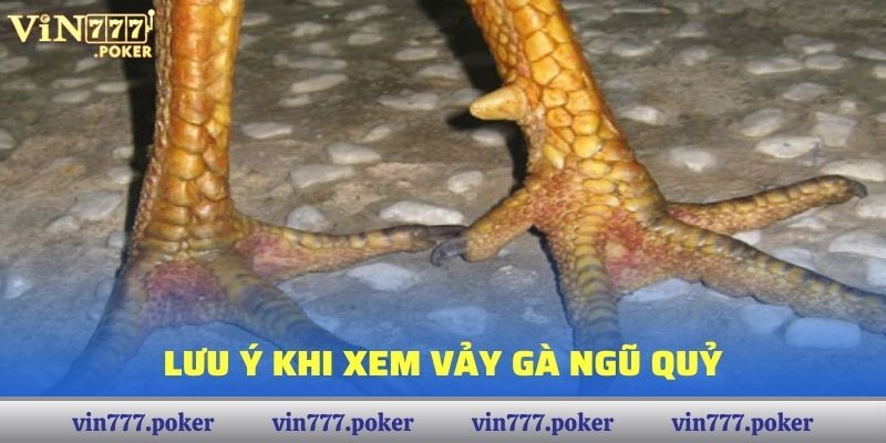 Lưu ý khi xem Vảy Gà Ngũ Quỷ