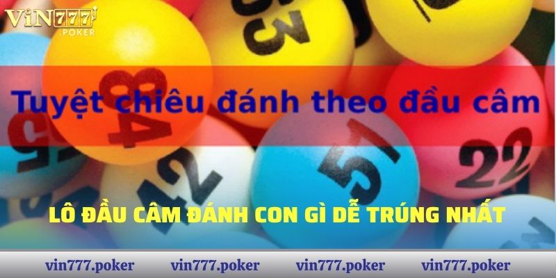 Lô đầu câm đánh con gì dễ trúng nhất