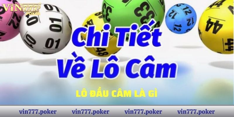 Lô đầu câm nghĩa là gì?