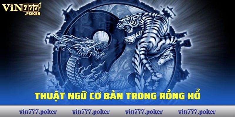 Thuật ngữ cơ bản trong Rồng Hổ