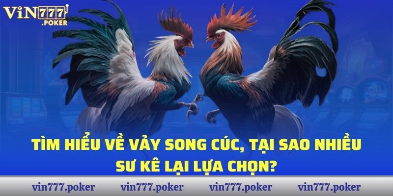 Vảy Song Cúc