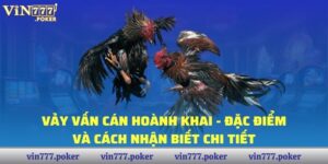 Vảy Vấn Cán Hoành Khai