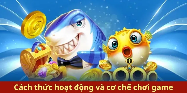 Cách Chơi Bắn Cá Royal Fishing Tại VIN777 Hiệu Quả