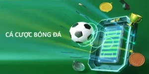 Tìm Hiểu Cá Cược Bóng Đá VIN777: Hành Trình Thắng Lớn