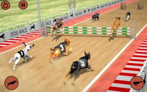 Hướng Dẫn Chơi Game Đua Chó Nhanh Tại VIN777 Cho Anh Em