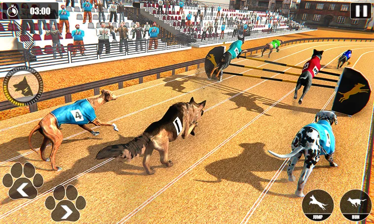 Hướng Dẫn Chơi Game Đua Chó Nhanh Tại VIN777 Cho Anh Em